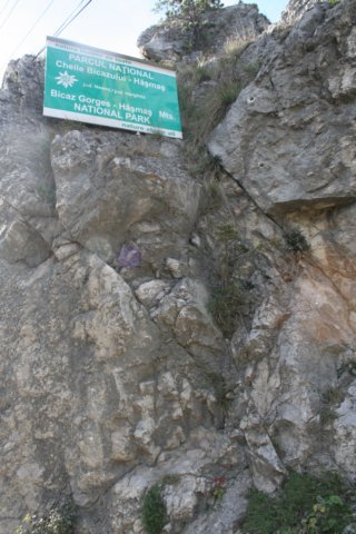 img_5056.jpg