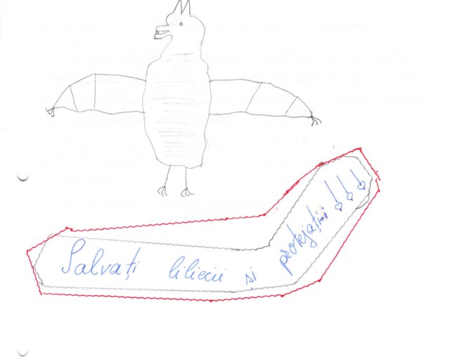 baitza1.jpg
