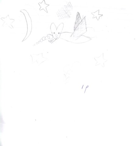 florian7.jpg