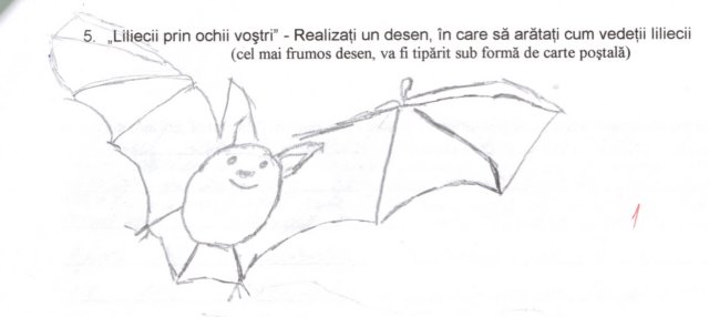 neamt6.jpg